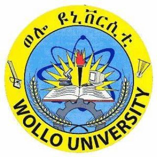Wollo University Official
