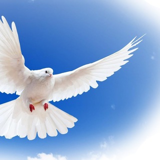 The Pentecostal Mission