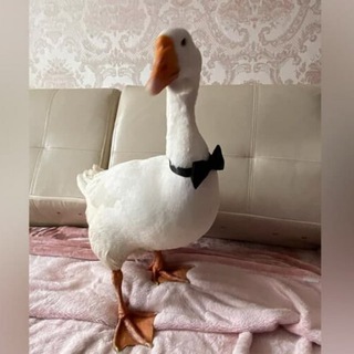 Топовый ВПН на планете земля